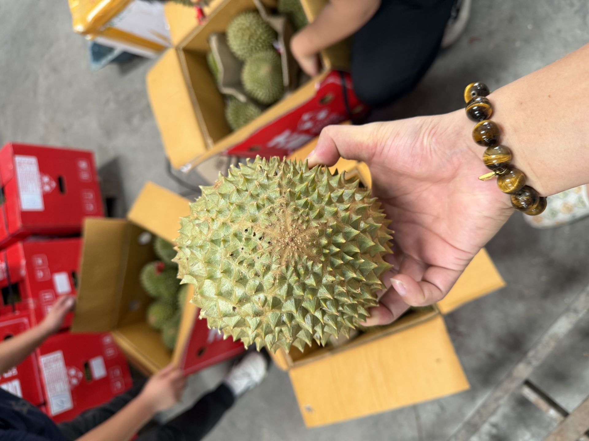 微信图片_20260511101500_1715_1979.jpg
